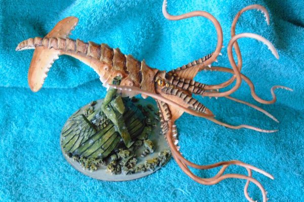 Kraken это современный маркетплейс