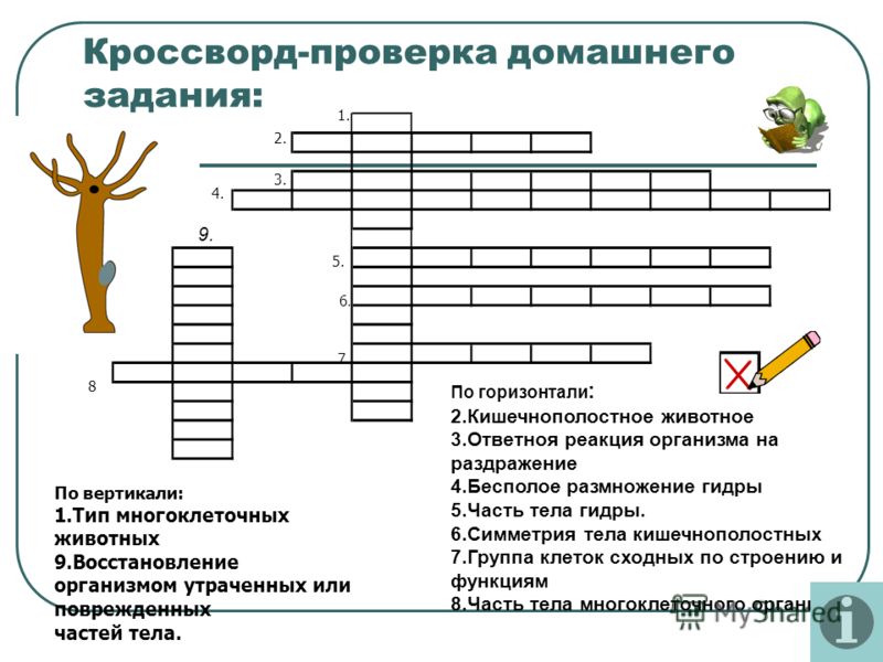 Кракен сайт зеркало рабочее